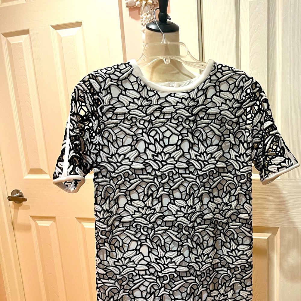 Occasion Wear: ESSENTIEL Antwerp, short sleeve, lined dress with overlay.